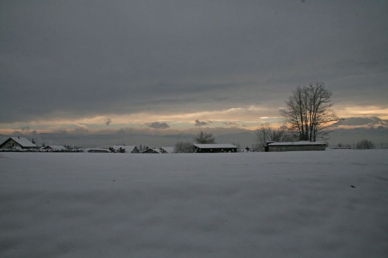 Winterstimmung 2008