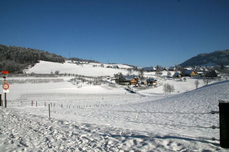 View direction Habstetten