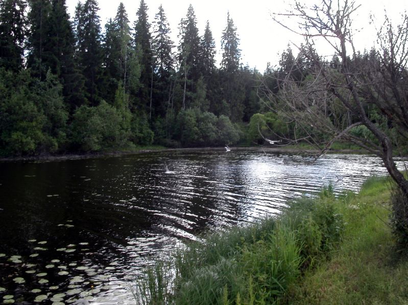 Between Tampere and Jyvskyl