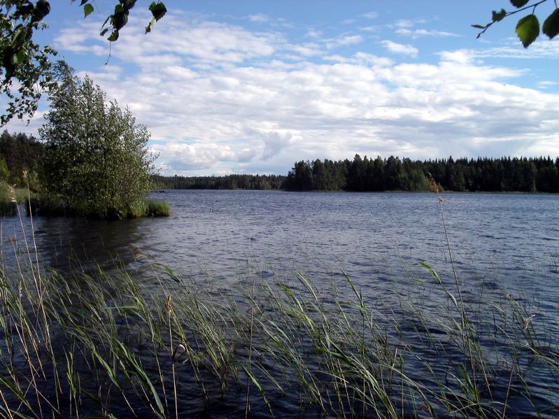 Between Jyvskyl and Kuopio