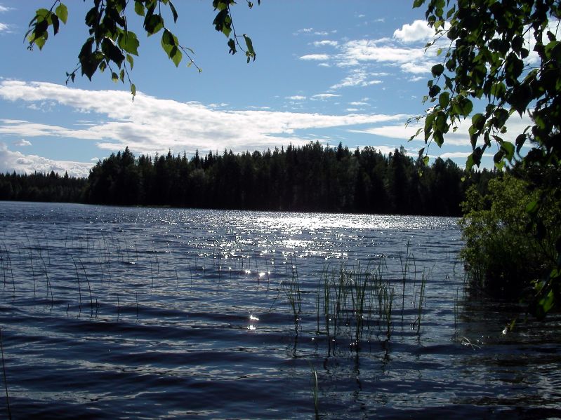 Between Jyvskyl and Kuopio