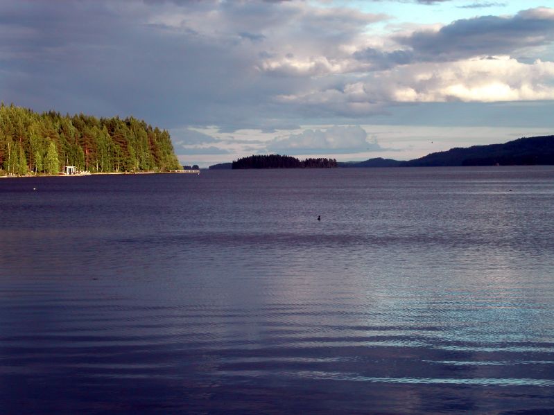 Koli