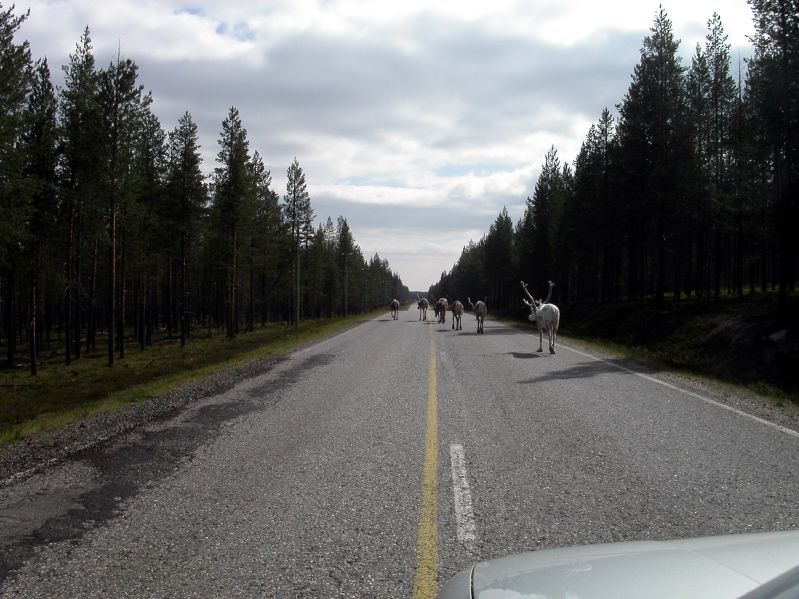 Between Kuusamo and Sodankyl