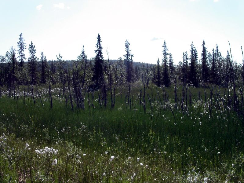 Between Gllivare and Jokkmokk.