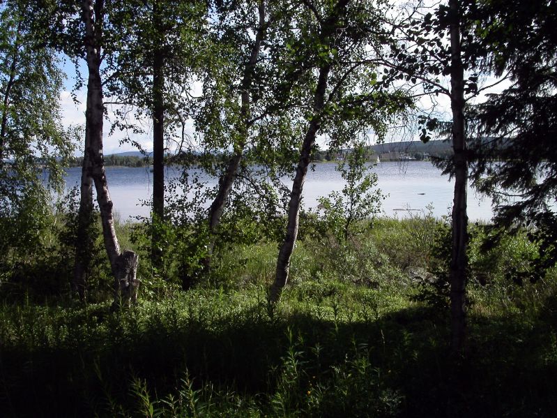 Arjeplog