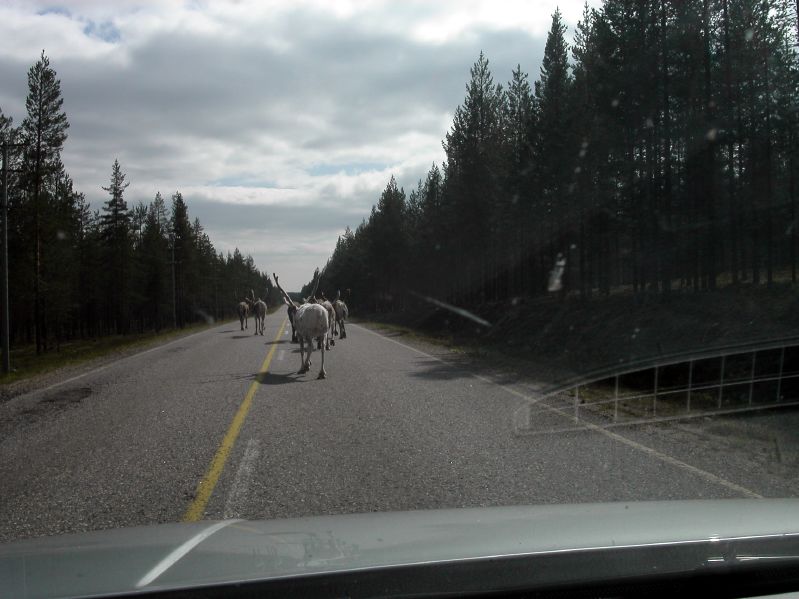 Zwischen Kuusamo und Sodankyl