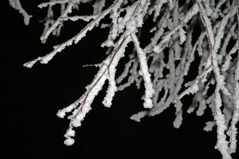 Hoarfrost by night