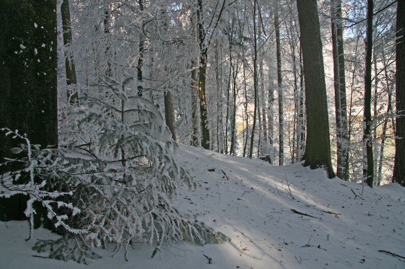 Fallen hoarfrost on floor