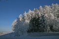 Burden trees and blue ski